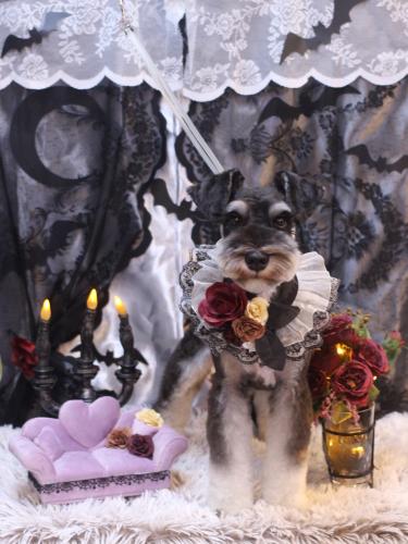 20231006ココくん